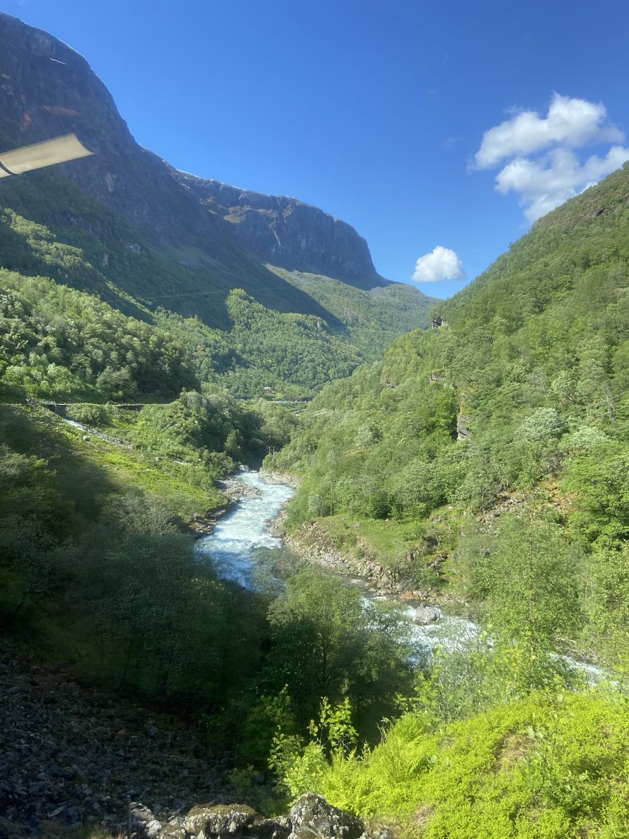 Mark Rowe tweet media