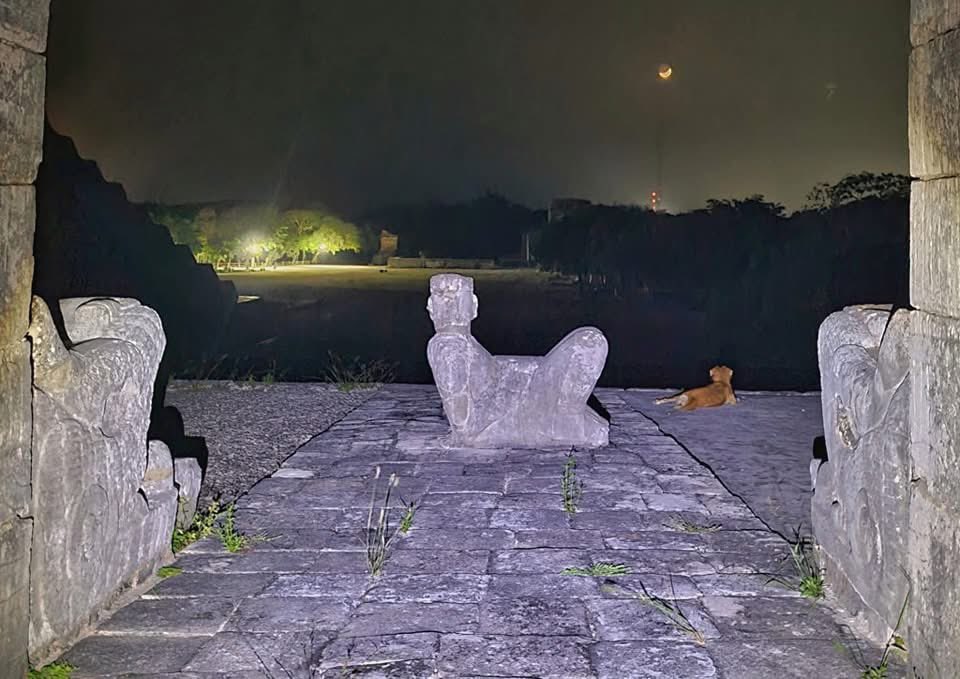 Comparto unas fotografías de la perrita “Osita”, quien al parecer forma parte de una de las familias de custodios de la zona arqueológica de Chichén Itza. Noten cómo descansa a un costado del Chac Mool y de las dos serpientes emplumadas del Templo de los Guerreros. 
Fotografía
