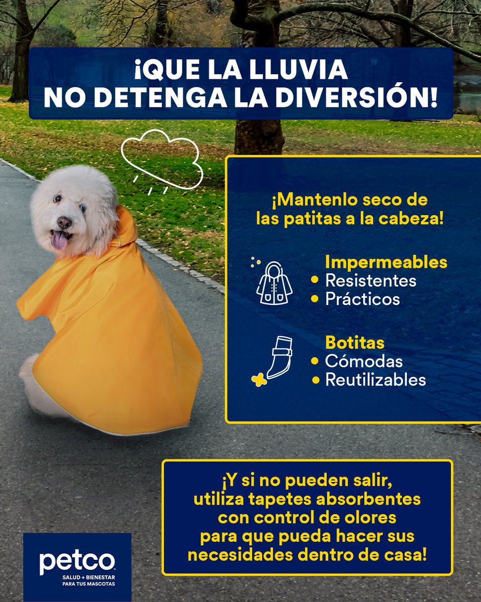¡Cuéntanos en los comentarios tus mejores tips de paseo para estos días de lluvia! 🐶☔ Recuerda que en Petco podrás encontrar todo lo que necesites para seguir cuidando de él en sus paseos o si se quedan en casa. 🐾 ¡Te esperamos1!  🌂✨