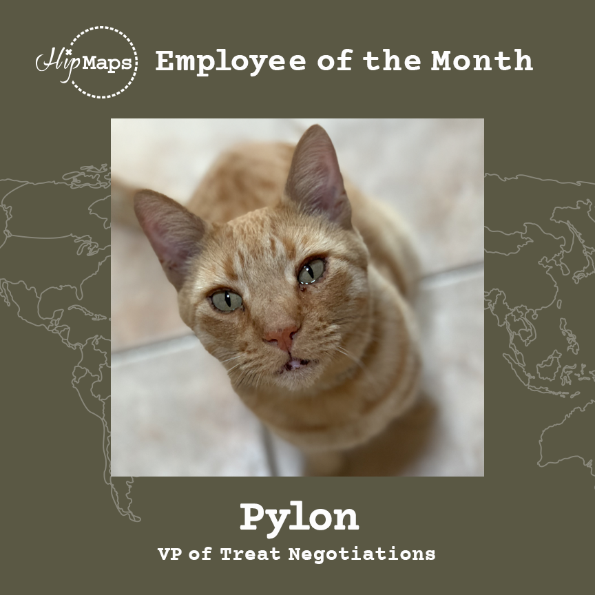 Pylon, our VP of Treat Negotiations, is our June Employee of the Month by mastering the art of securing the best deals for the entire HipMaps team! Congratulations to Pylon on another well-deserved Award!
#EmployeeOfTheMonth #CatEmployee #HipMaps #WanderAimfully