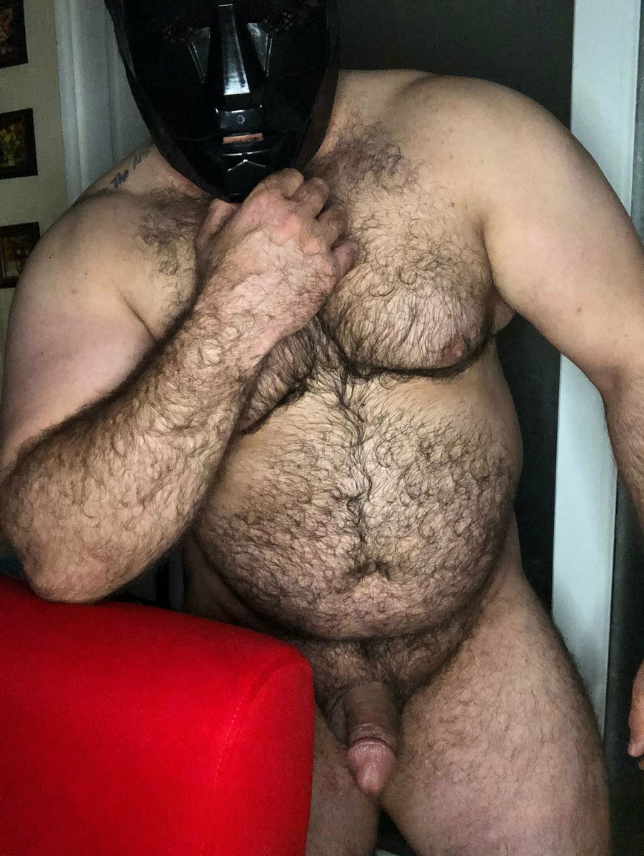 therealturkishbear 110K tweet media