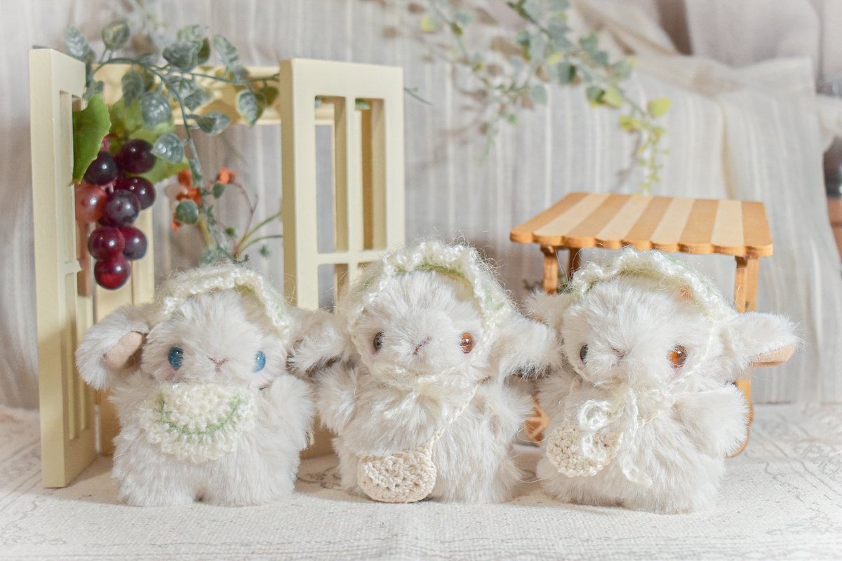 【⠀おうち探しのお知らせ🕊 ⠀】

BASEにて
3匹のひつじチャン達が
"ぬくもり探しの旅"に出発します🧳🌿.∘

𓐄 𓐄 𓐄 𓐄 𓐄 𓐄 𓐄 𓐄 𓐄 𓐄 𓐄 𓐄 𓐄 𓐄 𓐄 𓐄 

▶︎6/6(金) 20:00〜

【ショップはこちら🌱】
couleurmavie.base.shop

𓐄 𓐄 𓐄 𓐄 𓐄 𓐄 𓐄 𓐄 𓐄 𓐄 𓐄 𓐄 𓐄 𓐄 𓐄 𓐄