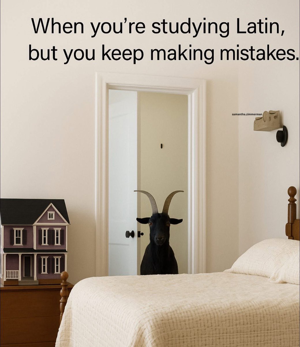 MandieMortem (@mmortemm) on Twitter photo 