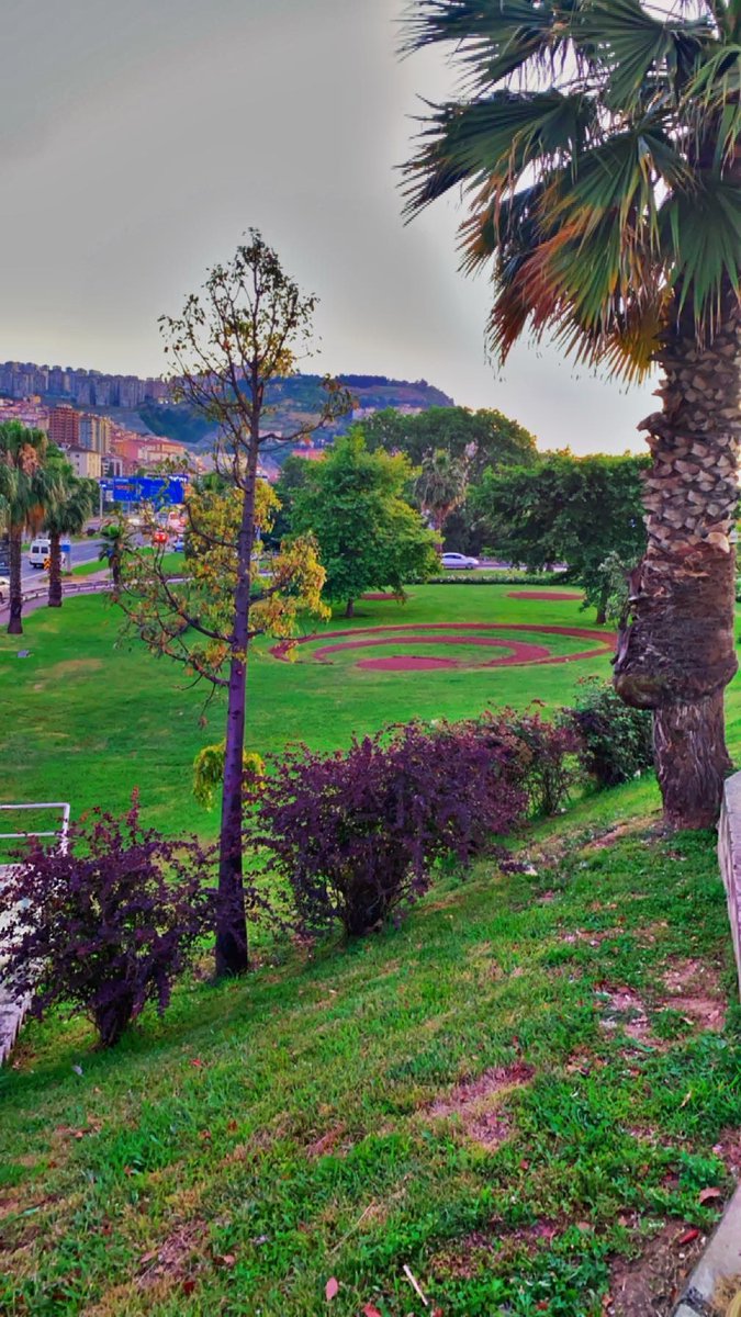 #كلمتين_وبس:

هناك من يفكر دون تنفيذ وهناك من ينفذ دون تفكير    
اذا كنت منهم عليك مراجعة نفسك ( هرم مقلوب )