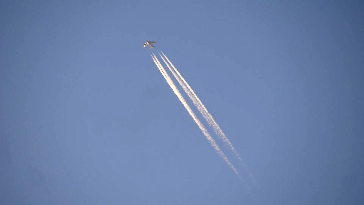 Travel'n Man tweet media