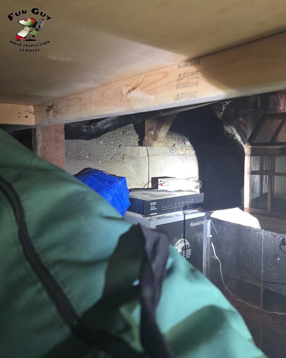Out of sight, but not out of mind. Crawlspaces are prime spots for moisture buildup and mold growth. Let Fun Guy Inspections check it out before it becomes a bigger issue. 💧🕷️

#CrawlspaceInspection #MoldAwareness #HiddenMold #HomeMaintenance #FunGuyInspections