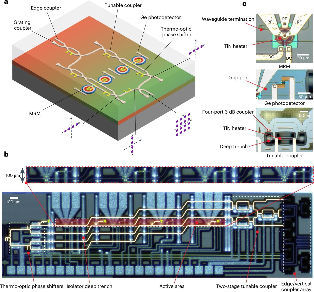 Another MZI with a ring on each arm, this time for decoupling amplitude and phase modulation