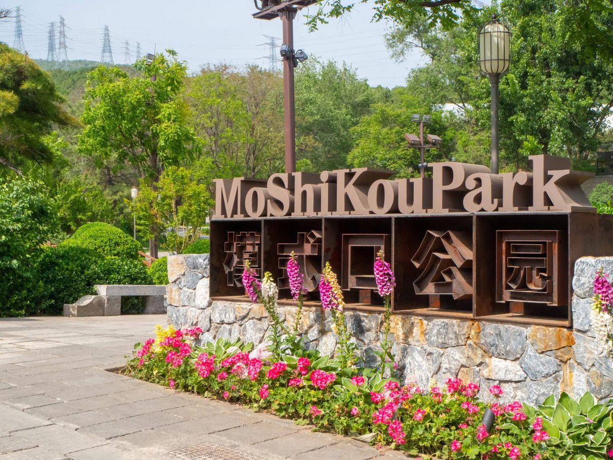 VisitBeijingcn's tweet photo. Next to #FahaiTemple in Shijingshan, #MoshikouPark blends history and nature. With blooming flowers, tree-lined paths, and open spaces for play and rest, it's a peaceful retreat in the heart of the city. #BeijingParks #NatureInTheCity #ChinaTravel #VisitBeijing #Beijing https://t.co/XYuD2LZAjo