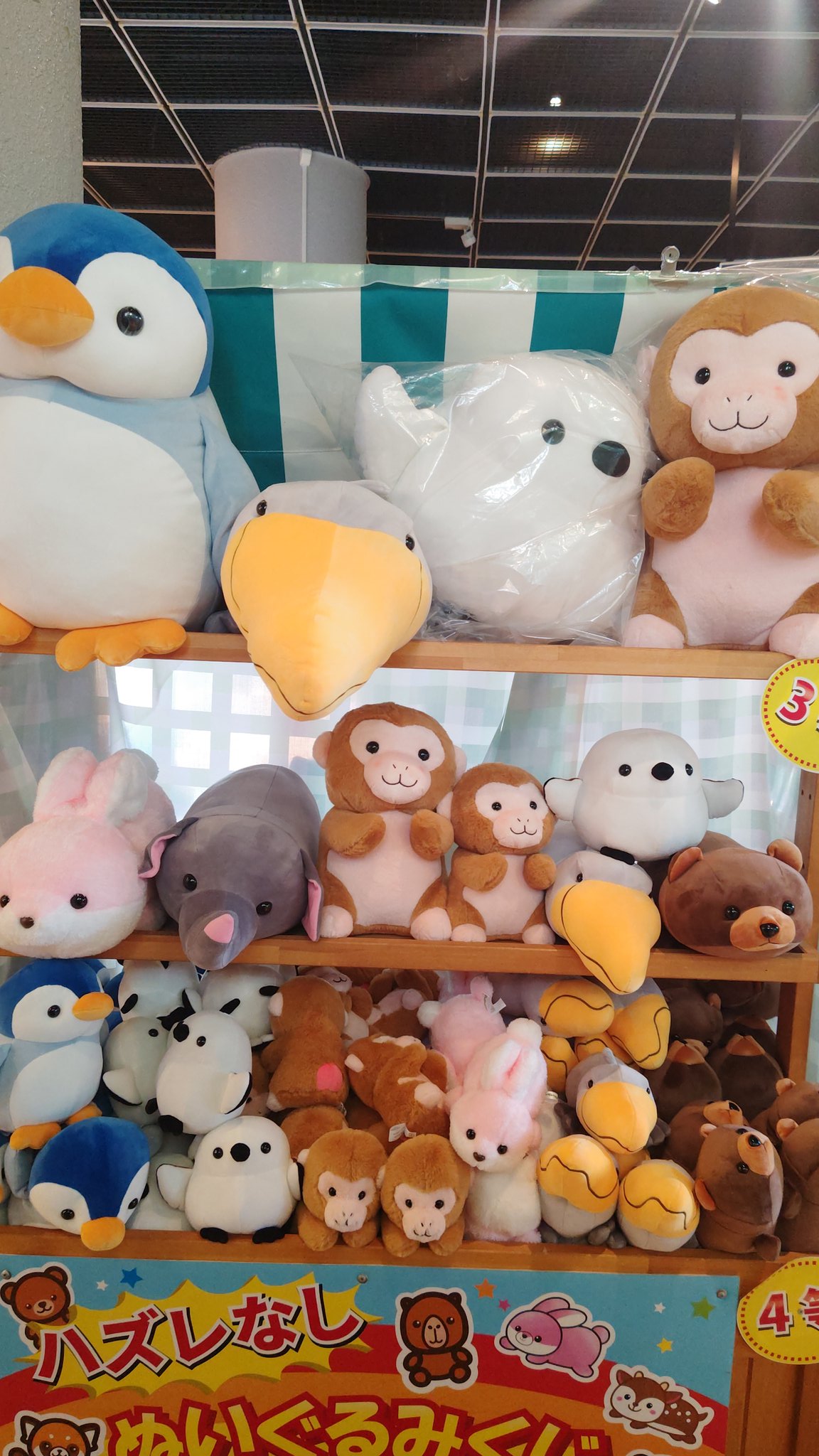 円山動物園　グッズ　35点まとめ売り 円山動物園オフィシャルショップ on X: 