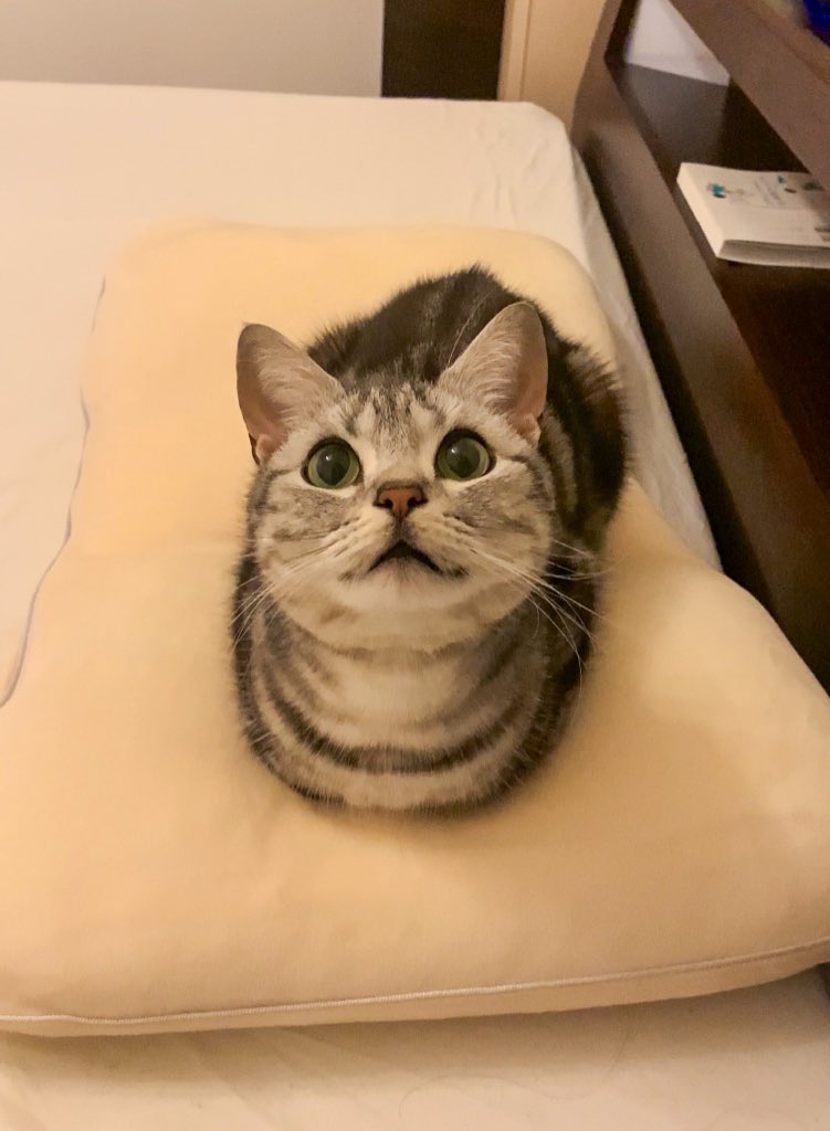 低反発まくらの上でおててないない