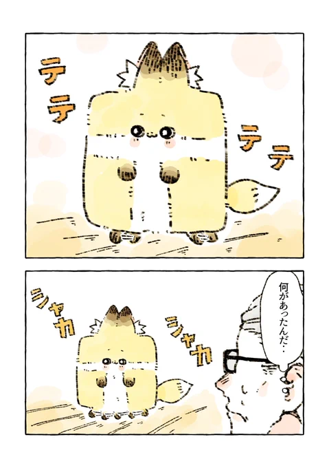 歩く四角狐 