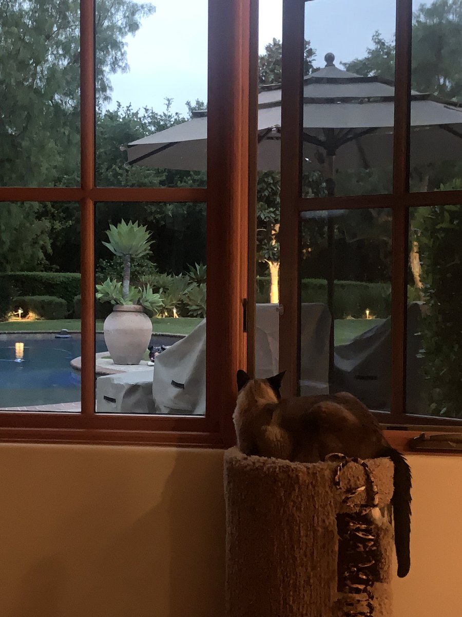 Rat Boy🐀 tweet media