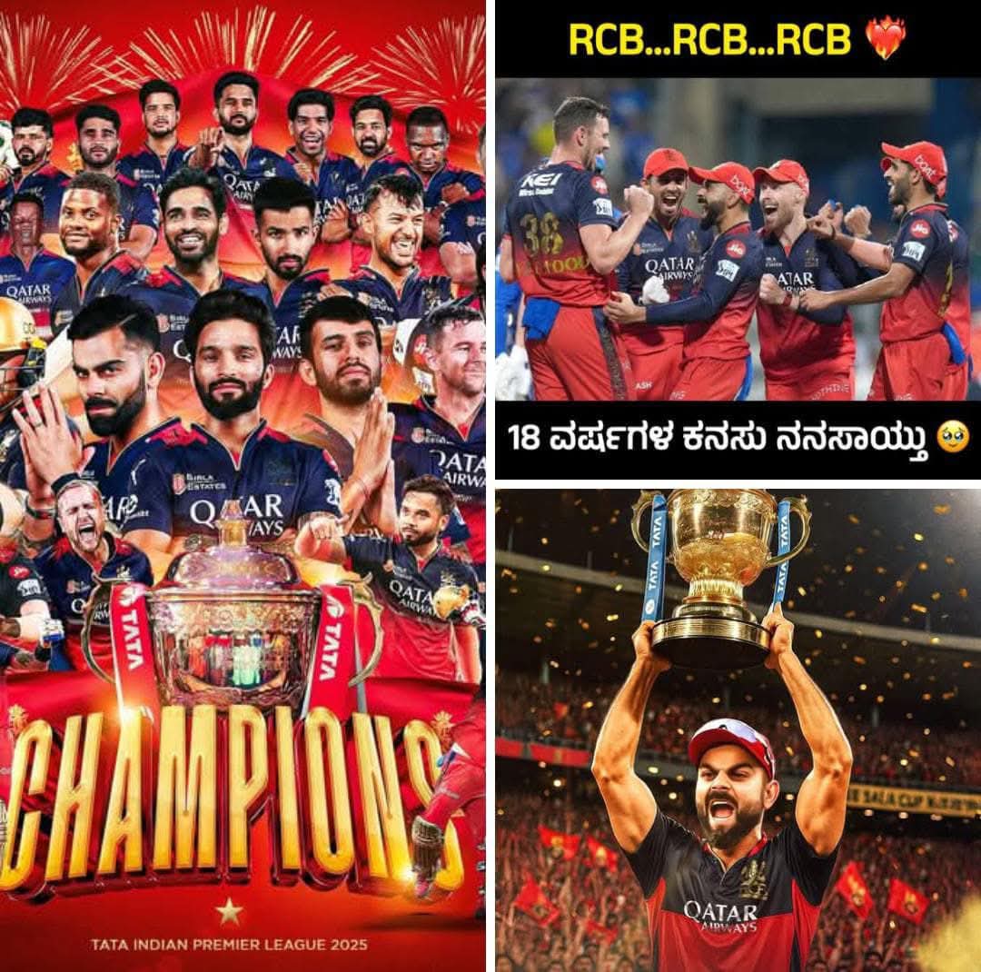 Congratulations champions 🎉👏 <a href="/imVkohli/">Virat Kohli</a>