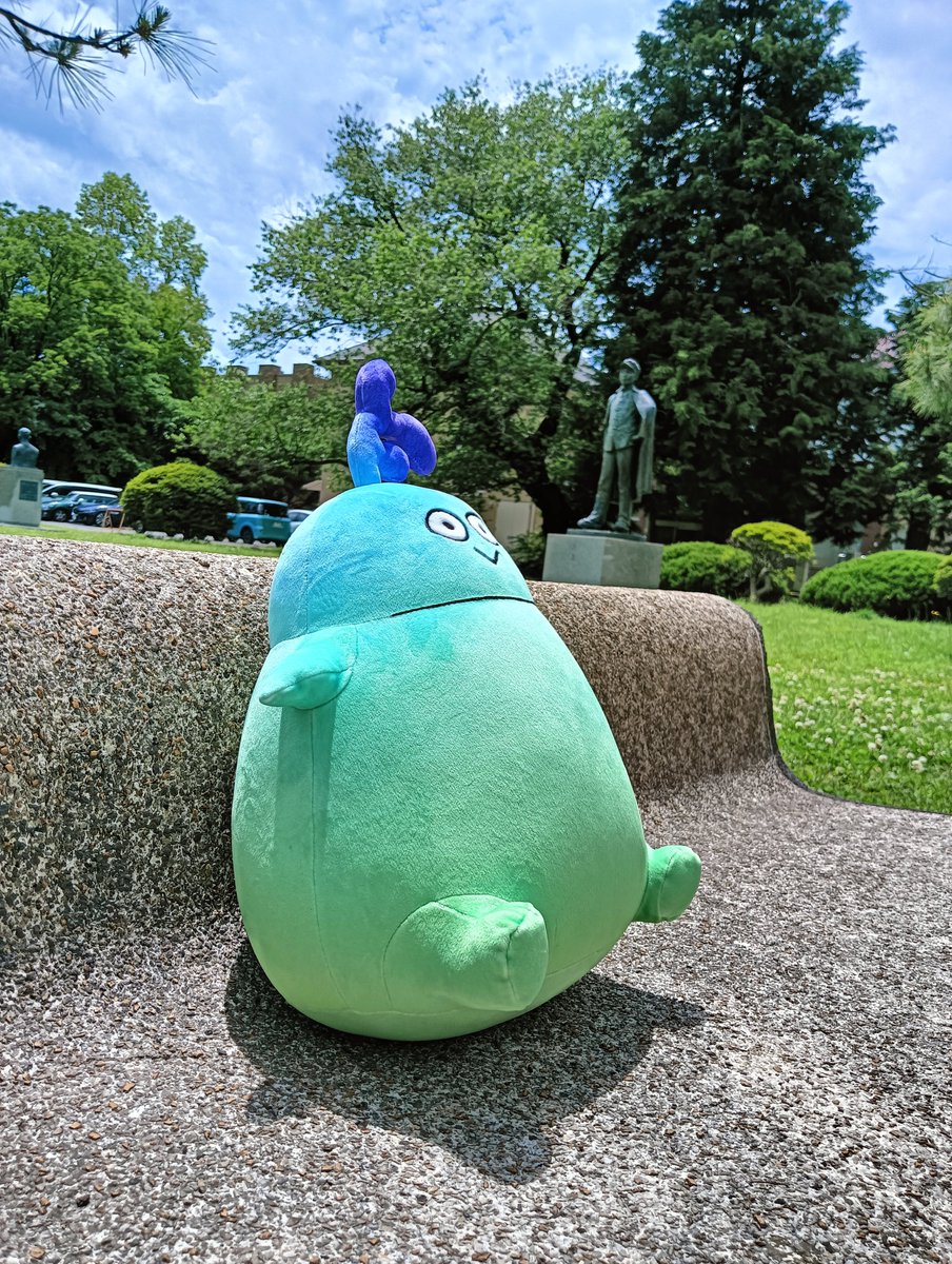 BIGぬい近影】 #研一BIGぬい が6/16(月)に発売されますね いろんな角度