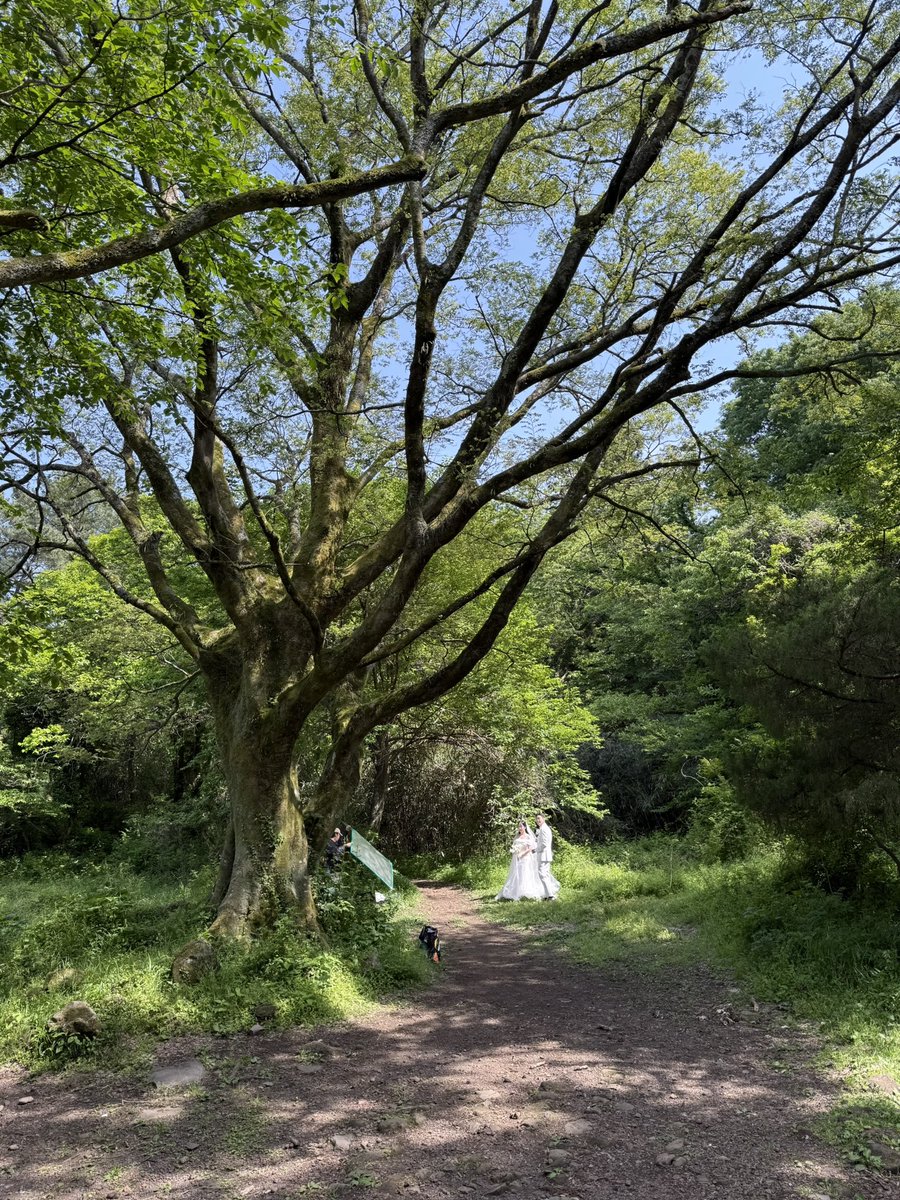 髙橋正典 高橋正典 Official tweet media
