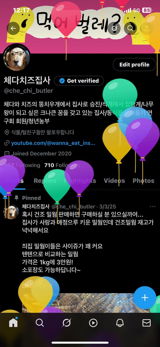 그렇다 오늘은 집사의 생일이다