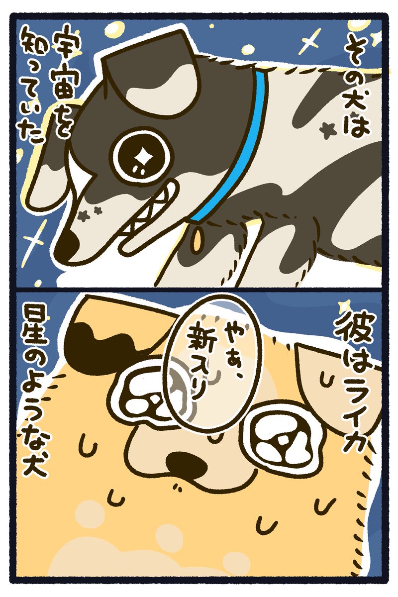 capin_mfmf's tweet photo. 漫画「きゃぴもふ」
第1話「ママはウソをつかない」
p15

#保護猫 #保護犬 #動物愛護 #きゃぴもふ

#漫画が読めるハッシュタグ
#マンガが読めるハッシュタグ https://t.co/yJMuzQZZlc
