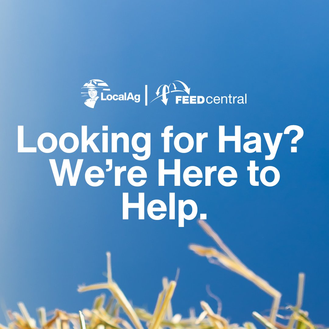 We’ve now opened expressions of interest for hay supply through LocalAg. 

If you or someone you know is in need, please visit the LocalAg site and complete the form: localag.com.au/haywanted

 *This isn’t a contract, just a way to let us know if you’re in need of hay, so we can