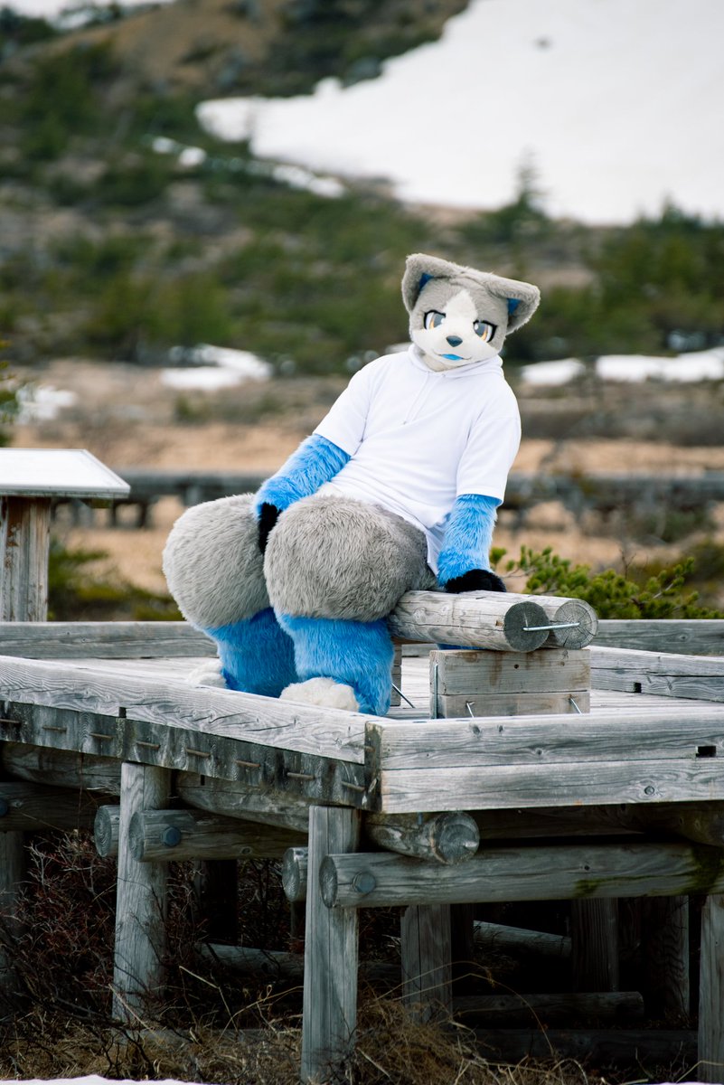 #いぬかのなにか