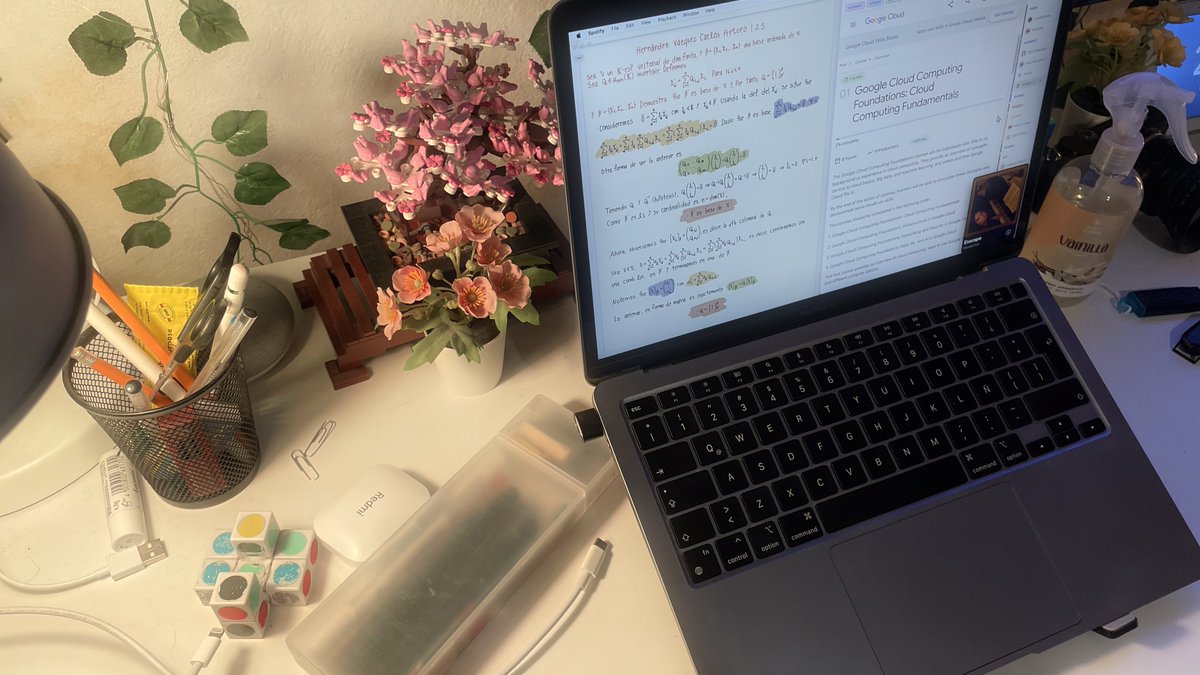 aruzdh's tweet image. 🦦🍃 #studytwt #collegetwt