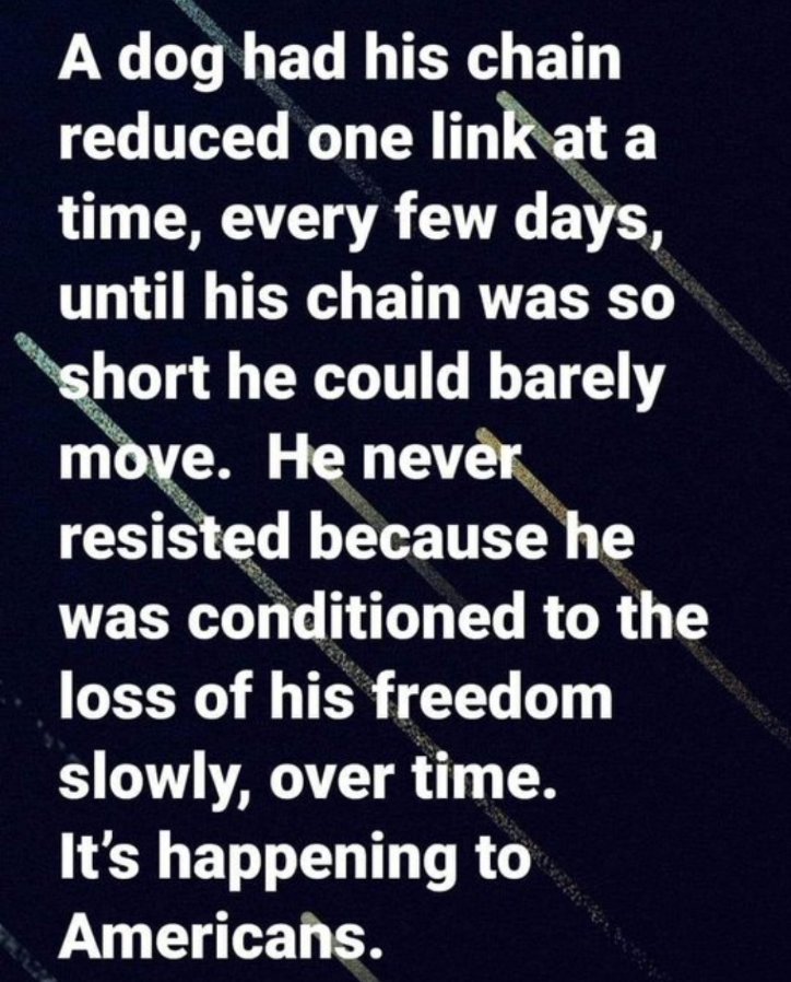 Bitemefuker's tweet image. A peek into how our government works....