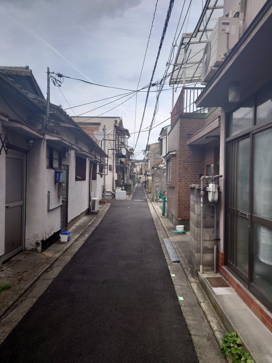iiroji_bot's tweet image. 
