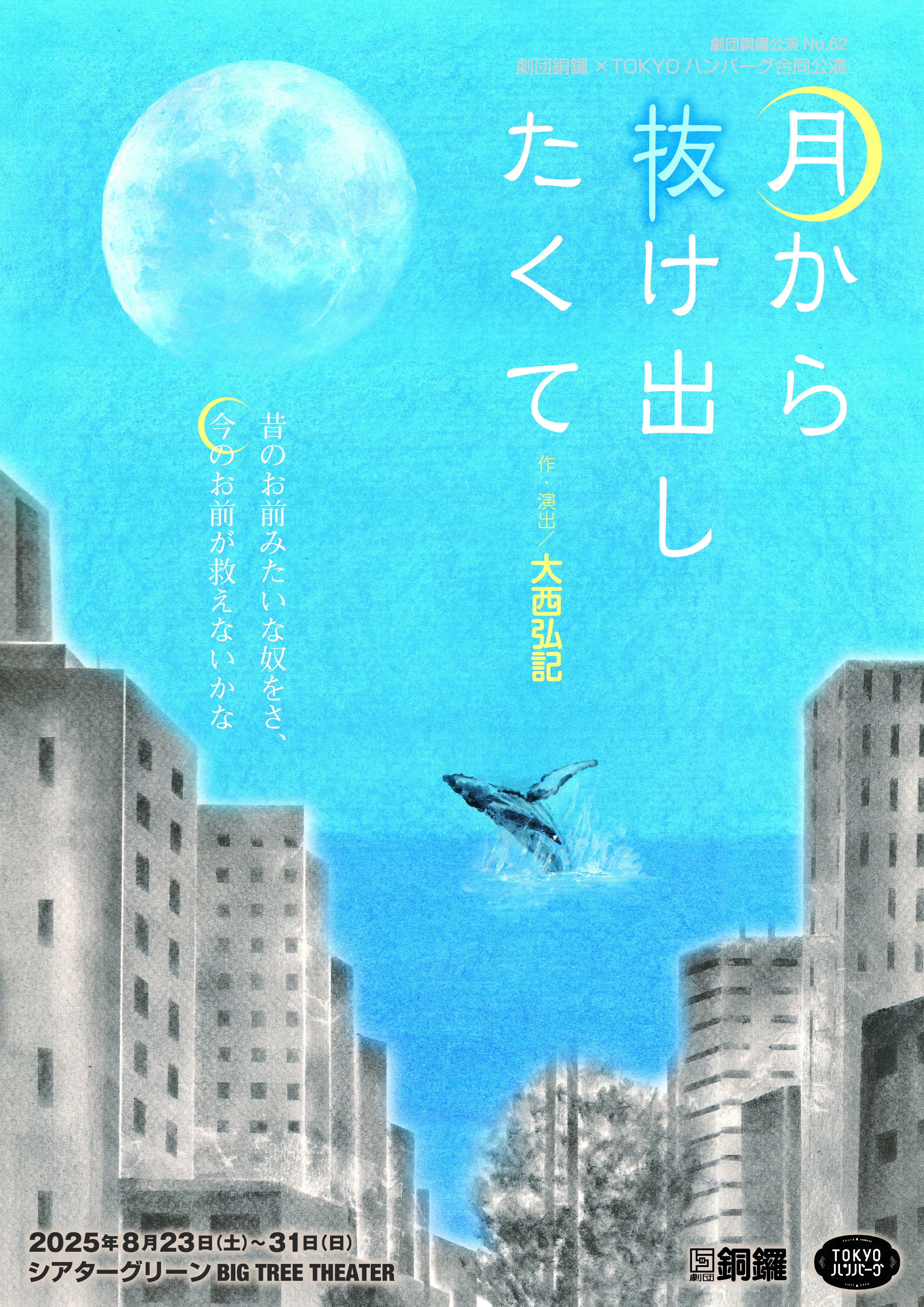 【限定500部 特装版】 小林大吾 / 小数点花手鑑 + パン屋の1ダース Amazon.co.jp: 小数点花手鑑 - 小林大吾: ミュージック