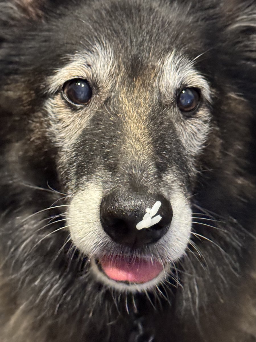 나중에 보니 엉덩이에도 붙이고 있더라