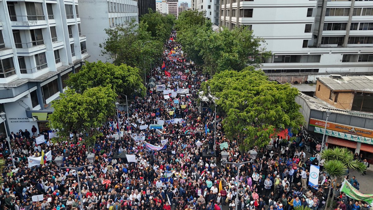 Ivonne Amores (@la_amorex) on Twitter photo Hasta la Orellana los barrios, comerciantes, educadores llenaron los barrios en apoyo a <a href="/pabelml/">Pabel Muñoz L.</a> ! La fuerza de los quiteños se siente! Se RESPETA! Hasta la Orellana los barrios, comerciantes, educadores llenaron los barrios en apoyo a <a href="/pabelml/">Pabel Muñoz L.</a> ! La fuerza de los quiteños se siente! Se RESPETA!