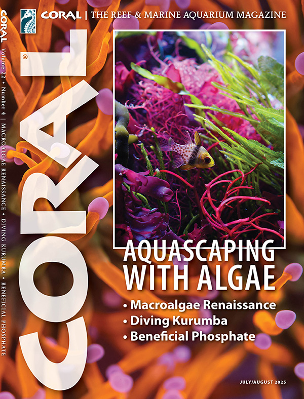 AmazonasMag's tweet image. #Freshwater #aquarists aren't the only ones who get to enjoy #aquascaping and #plantedtanks! If you've been #saltwatercurious, or you need a new #aquarium challenge, #AQUASCAPINGwithALGAE is a must.
Subscribe by June 8th . CORALMagazine.com/subscribe