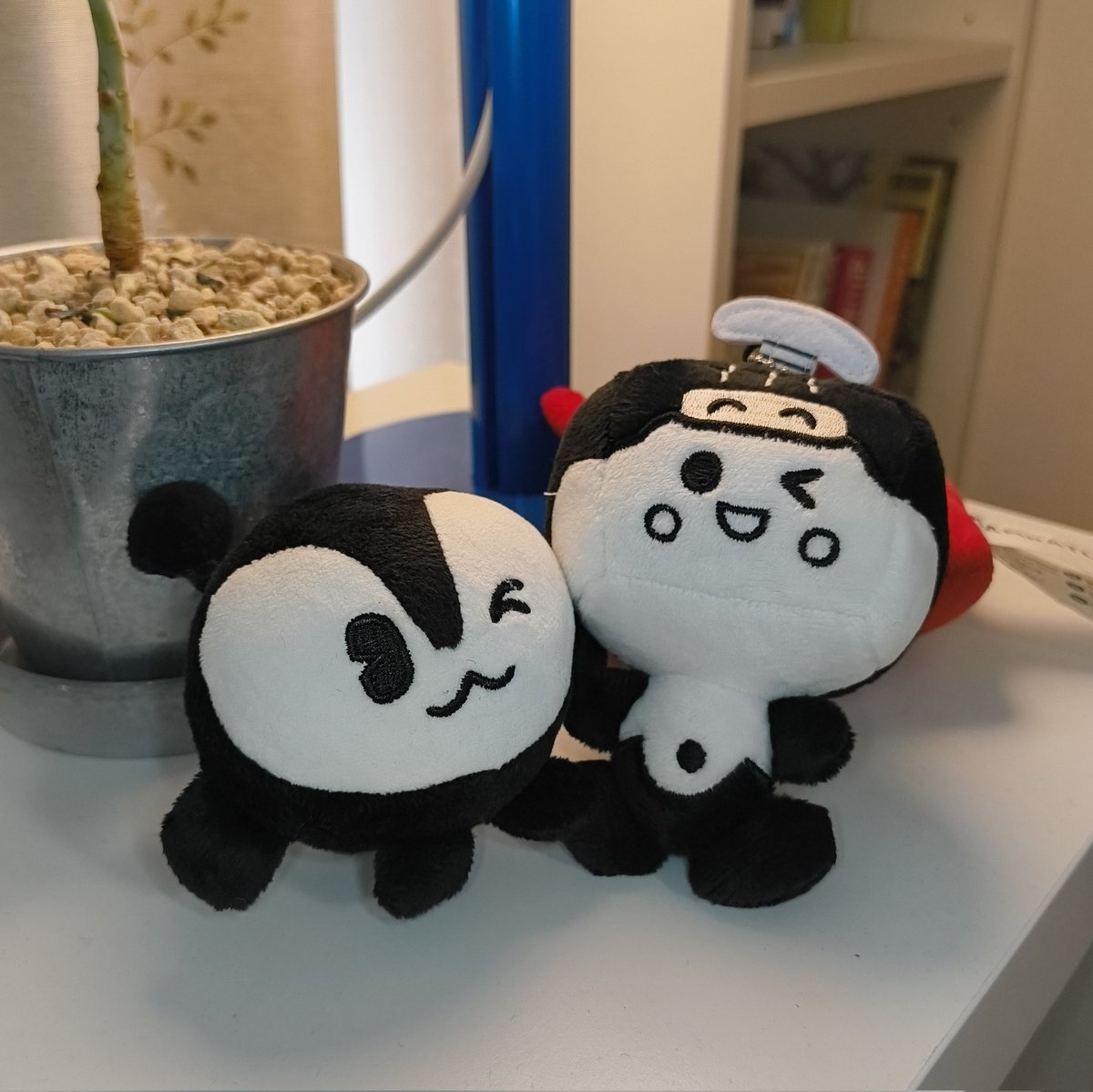 ゲットしたよー！！！初お迎え😭
