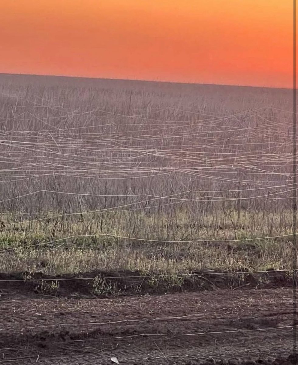 MarkSchweikert1's tweet photo. It isn’t bird netting or spider web. It’s the new way of drone warfare. Fibre optic cable used to control drones to avoid detection and jamming. #CsUAS @DefenceAust @AustralianArmy https://t.co/se6EJ6e1lm