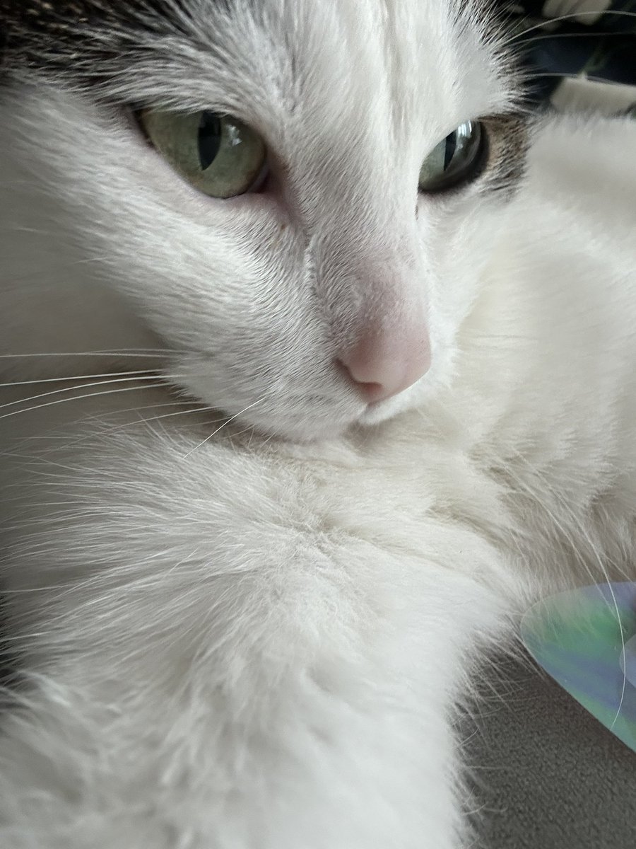 실물이 더 귀여워요