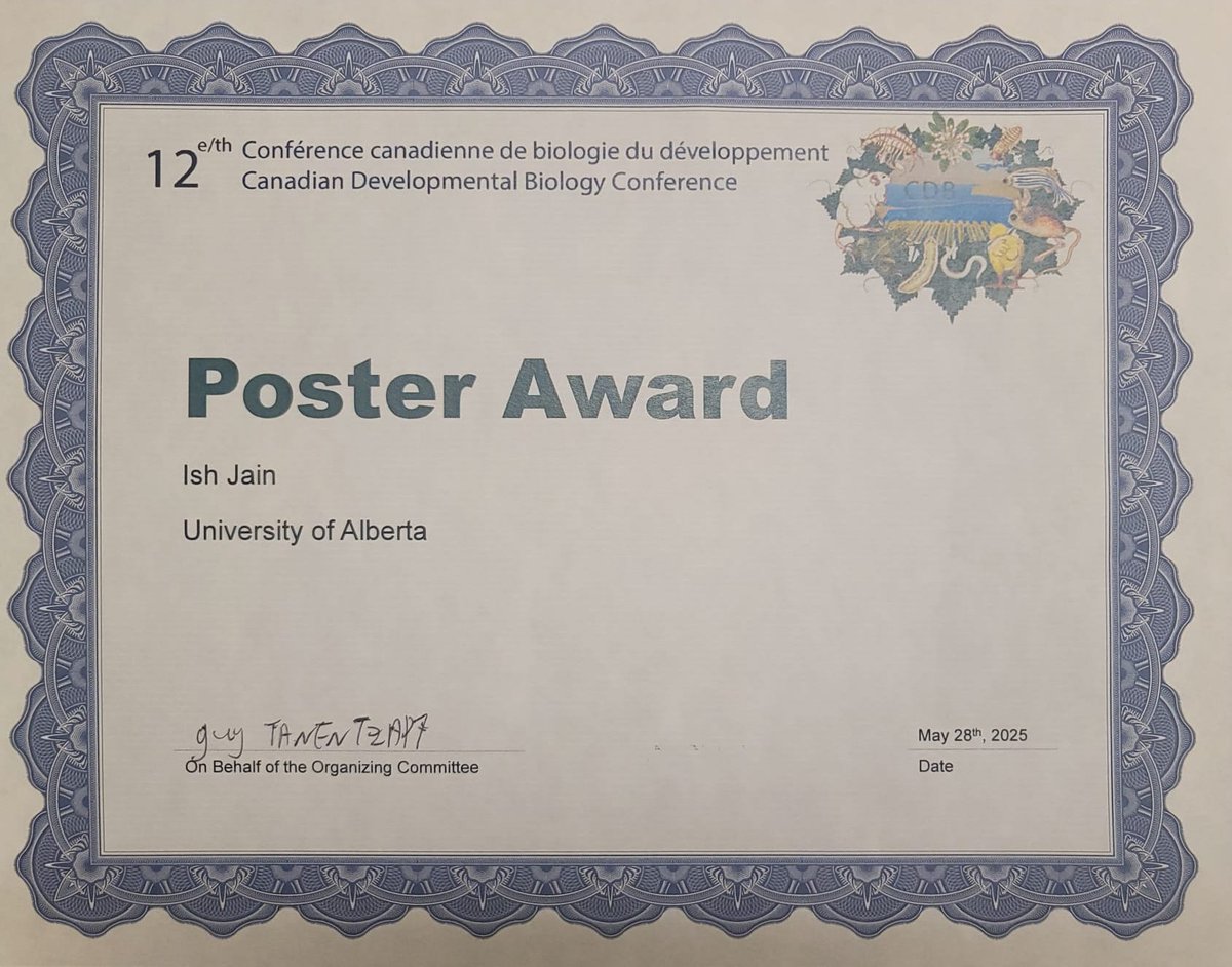 Srayko Lab tweet media