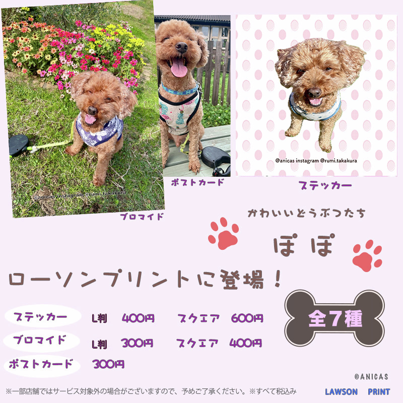 ペットインフルエンサー事務所anicas所属の「#かわいいどうぶつたち」オリジナル商品が「#ローソンプリント」に登場♪第11弾 #テラ #そるてぃらいち #ぽぽ です！可愛いお写真をぜひゲットしてください♪
詳しくは→bit.ly/3Cg2KVS
#ローソン