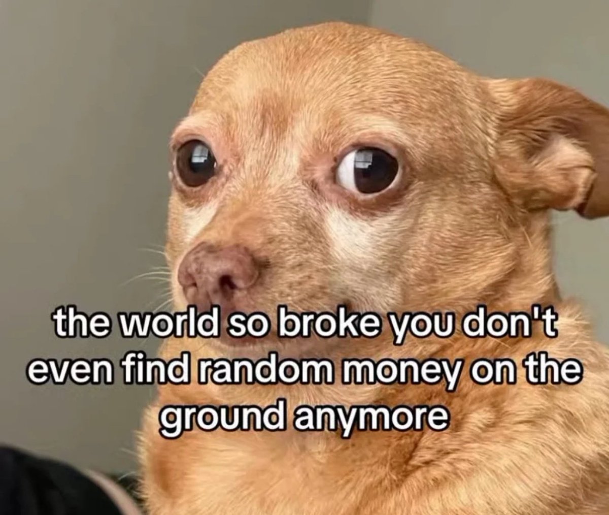 Chatty Citizen tweet media