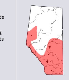 Well isn’t this interesting. 
In the Alberta Government Alternative Water Supply Storage &amp; Management Methods they mention Cloud Seeding as a method for water management. 
There is Convective seeding that they do in Calgary and Red Deer for hail suppression but they also do