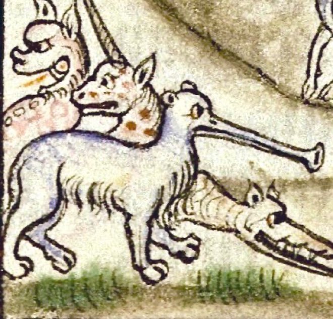 A wonderfully bizarre ‘elephant done by a medieval artist that had never seen one’  -  14th century, Lyon. Bibliothèque municipale, Ms 742, f. 79v