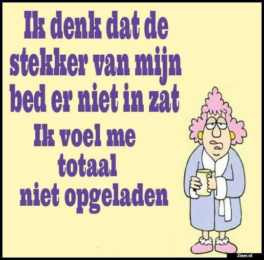 Goedemorgen