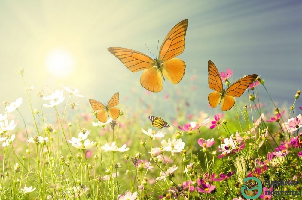 Богдана Суворова (@bogsuvorova) on Twitter photo <a href="/Karina__Zimina/">Карина Зимина 🦋</a> <a href="/Mishel_Lebedeva/">Мишель Лебедева</a> <a href="/Evelina__Lapina/">Эвелина Лапина</a> <a href="/_VitaKnyazeva/">Виталия Князева</a> <a href="/_Nata_Sokol/">Наталья Соколова </a> <a href="/_Mila_Romanova/">Мила Романова 🔙</a> <a href="/Alisiya_Pankova/">Алисия Панкова 💥«</a> <a href="/Irina__Razumova/">Ирина Разумова</a> <a href="/Karina__Lapina/">Карина Лапина</a> <a href="/Juliana_Fadeeva/">Юлианна Фадеева</a> <a href="/Vlada_Ulisova/">Влада Улисова</a> <a href="/Valeri_Ladamina/">Валерия Ладамина</a> <a href="/_Alina_Panova/">Алина Панова</a> <a href="/_Marina_Burina/">Марина Бурина</a> <a href="/Sveta_Khazova/">Светлана Хазова</a> <a href="/_Nadya_Antipova/">Надежда Антипова</a> <a href="/_Alina_Shilova/">Алина Шилова</a> <a href="/Veronika_Mazina/">Вероника Мазина</a> <a href="/Lara_Smurova/">Лариса Смурова 🚀</a> <a href="/Dominik_Svetova/">Доминика Светова</a> <a href="/Mari__Samsonova/">Мария Самсонова 💕</a> <a href="/Dana__Levina/">💞 Дана Левина 💞</a> <a href="/_NikaSmirnova/">Ника Смирнова 🦋</a> <a href="/_PolinaSavina/">Полина Савина 🧢</a> <a href="/_TatyanaGolub/">Татьяна Голубева 🔥«</a> <a href="/Yuliya_Verina/">Юлия Верина 🍁</a> <a href="/_Anna_Gordeeva/">Анна Гордеева</a> <a href="/Frolova__Nastya/">Анастасия Фролова ✨</a> <a href="/Val_Valereva/">Валентина Валерьева</a> <a href="/Evgen_Safina/">Евгения Сафина</a> <a href="/Alina__Azarova/">Алина Азарова 🔥</a> <a href="/Liza_Vesnina/">Лизавета Веснина</a> <a href="/Sveta_Makeina/">Светлана Макеина</a> <a href="/Kseniya_Aksen/">Ксения Аксенова</a> <a href="/_OksanaFirsova/">Оксана Фирсова</a> <a href="/Roza_Rakitina/">Роза Ракитина</a> <a href="/IrishaKoroleva/">Ирина Королева</a> <a href="/_VladaBelova/">Влада Белова</a> <a href="/ya__chara/">Яна</a> <a href="/alberiniks/">Нина Альбертова</a> <a href="/lady__travel/">Нинэлька</a> <a href="/Ansupers/">Анастасия</a> <a href="/Alisa550055/">Алиса</a> <a href="/glamour__fifa/">Нэнси</a> <a href="/santairis_/">Ириска</a> <a href="/polovinkamoya/">Валентина</a> <a href="/niguzan/">Нина</a> <a href="/moyi_angel/">Ангелина</a> <a href="/ledi__briz/">Алина Голубкова</a> <a href="/Irina__Grad/">Ирина Градова</a> Июнь… так тепло. Солнце дарит свое счастье окружающим, мир залит светом! И все это… за окном. <a href="/Karina__Zimina/">Карина Зимина 🦋</a> <a href="/Mishel_Lebedeva/">Мишель Лебедева</a> <a href="/Evelina__Lapina/">Эвелина Лапина</a> <a href="/_VitaKnyazeva/">Виталия Князева</a> <a href="/_Nata_Sokol/">Наталья Соколова </a> <a href="/_Mila_Romanova/">Мила Романова 🔙</a> <a href="/Alisiya_Pankova/">Алисия Панкова 💥«</a> <a href="/Irina__Razumova/">Ирина Разумова</a> <a href="/Karina__Lapina/">Карина Лапина</a> <a href="/Juliana_Fadeeva/">Юлианна Фадеева</a> <a href="/Vlada_Ulisova/">Влада Улисова</a> <a href="/Valeri_Ladamina/">Валерия Ладамина</a> <a href="/_Alina_Panova/">Алина Панова</a> <a href="/_Marina_Burina/">Марина Бурина</a> <a href="/Sveta_Khazova/">Светлана Хазова</a> <a href="/_Nadya_Antipova/">Надежда Антипова</a> <a href="/_Alina_Shilova/">Алина Шилова</a> <a href="/Veronika_Mazina/">Вероника Мазина</a> <a href="/Lara_Smurova/">Лариса Смурова 🚀</a> <a href="/Dominik_Svetova/">Доминика Светова</a> <a href="/Mari__Samsonova/">Мария Самсонова 💕</a> <a href="/Dana__Levina/">💞 Дана Левина 💞</a> <a href="/_NikaSmirnova/">Ника Смирнова 🦋</a> <a href="/_PolinaSavina/">Полина Савина 🧢</a> <a href="/_TatyanaGolub/">Татьяна Голубева 🔥«</a> <a href="/Yuliya_Verina/">Юлия Верина 🍁</a> <a href="/_Anna_Gordeeva/">Анна Гордеева</a> <a href="/Frolova__Nastya/">Анастасия Фролова ✨</a> <a href="/Val_Valereva/">Валентина Валерьева</a> <a href="/Evgen_Safina/">Евгения Сафина</a> <a href="/Alina__Azarova/">Алина Азарова 🔥</a> <a href="/Liza_Vesnina/">Лизавета Веснина</a> <a href="/Sveta_Makeina/">Светлана Макеина</a> <a href="/Kseniya_Aksen/">Ксения Аксенова</a> <a href="/_OksanaFirsova/">Оксана Фирсова</a> <a href="/Roza_Rakitina/">Роза Ракитина</a> <a href="/IrishaKoroleva/">Ирина Королева</a> <a href="/_VladaBelova/">Влада Белова</a> <a href="/ya__chara/">Яна</a> <a href="/alberiniks/">Нина Альбертова</a> <a href="/lady__travel/">Нинэлька</a> <a href="/Ansupers/">Анастасия</a> <a href="/Alisa550055/">Алиса</a> <a href="/glamour__fifa/">Нэнси</a> <a href="/santairis_/">Ириска</a> <a href="/polovinkamoya/">Валентина</a> <a href="/niguzan/">Нина</a> <a href="/moyi_angel/">Ангелина</a> <a href="/ledi__briz/">Алина Голубкова</a> <a href="/Irina__Grad/">Ирина Градова</a> Июнь… так тепло. Солнце дарит свое счастье окружающим, мир залит светом! И все это… за окном.