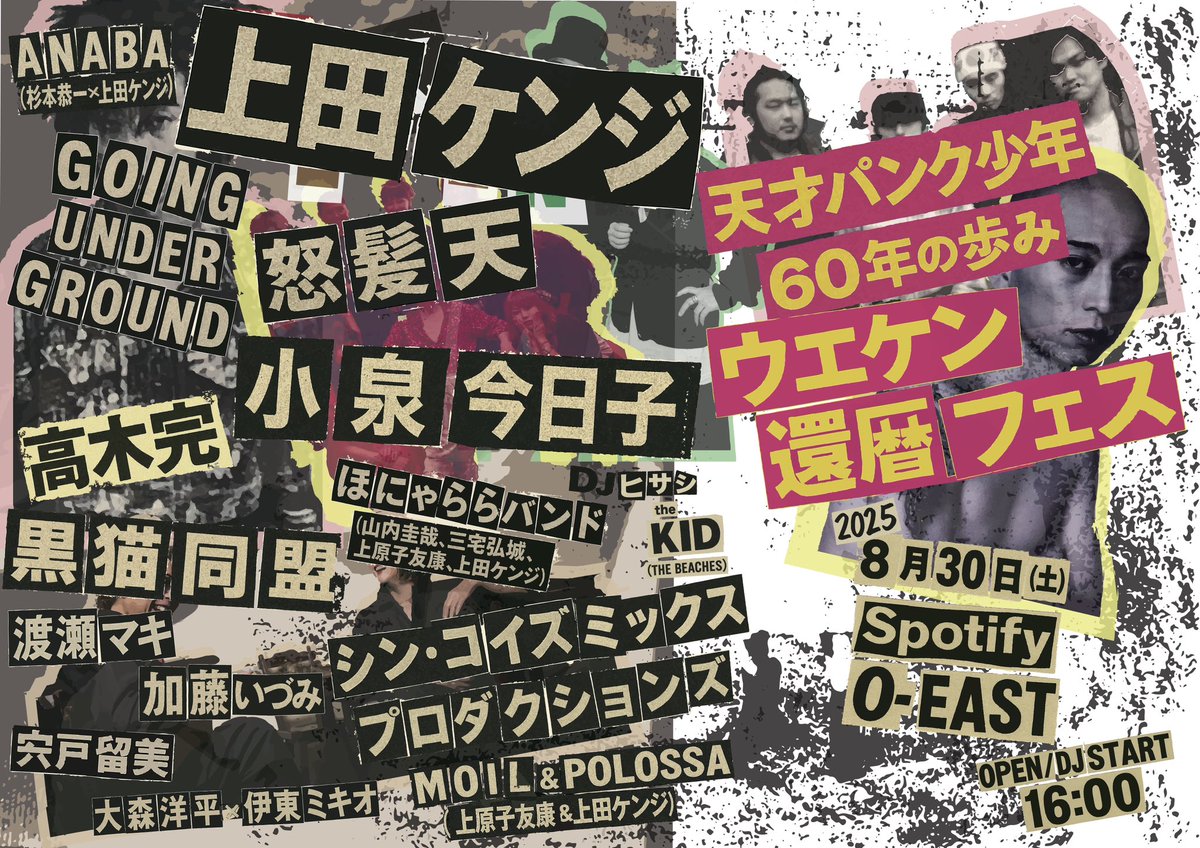 黒猫同盟 Alliance de chat noir on X: 