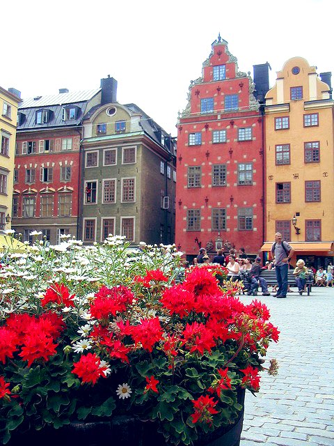 Good morning from Stockholm🌸😊Have a great Wednesday☀️
#GoodMorning #Wednesdayvibe