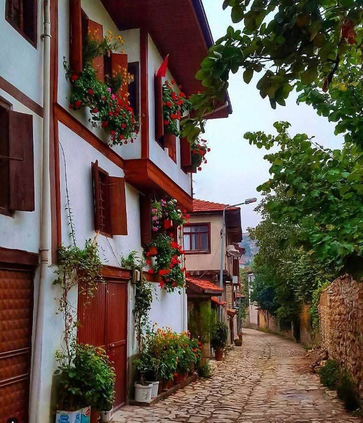 Sfran_34's tweet image. Uyan! Güneş sizler için doğdu bugün
Hadi bugünü güzelleştirelim.☀️

Günaydın dünya!
Bugün kahveni umutla,
adımlarınızı  cesaretle atın
En güzel günlerden biri 
sizleri bekliyor olabilir.😍

#YeniBaşlangıçlar 
#PozitifKal 
#SabahMotivasyonu 
#OrtaŞekerliHayat 
☕️🌤️🦋🐞🎶🌱💞