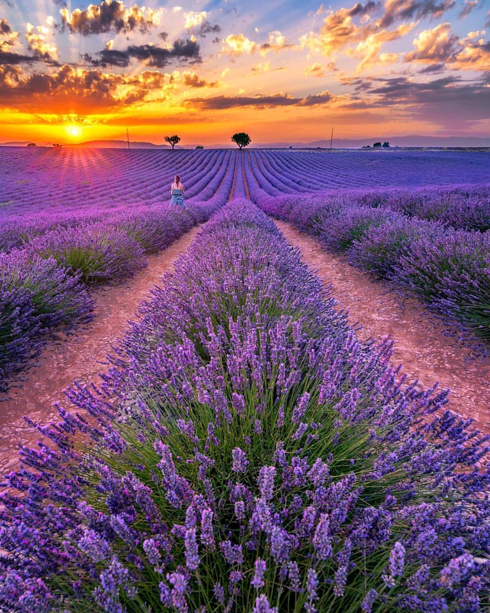 Sfran_34's tweet image. Uyan! Güneş sizler için doğdu bugün
Hadi bugünü güzelleştirelim.☀️

Günaydın dünya!
Bugün kahveni umutla,
adımlarınızı  cesaretle atın
En güzel günlerden biri 
sizleri bekliyor olabilir.😍

#YeniBaşlangıçlar 
#PozitifKal 
#SabahMotivasyonu 
#OrtaŞekerliHayat 
☕️🌤️🦋🐞🎶🌱💞