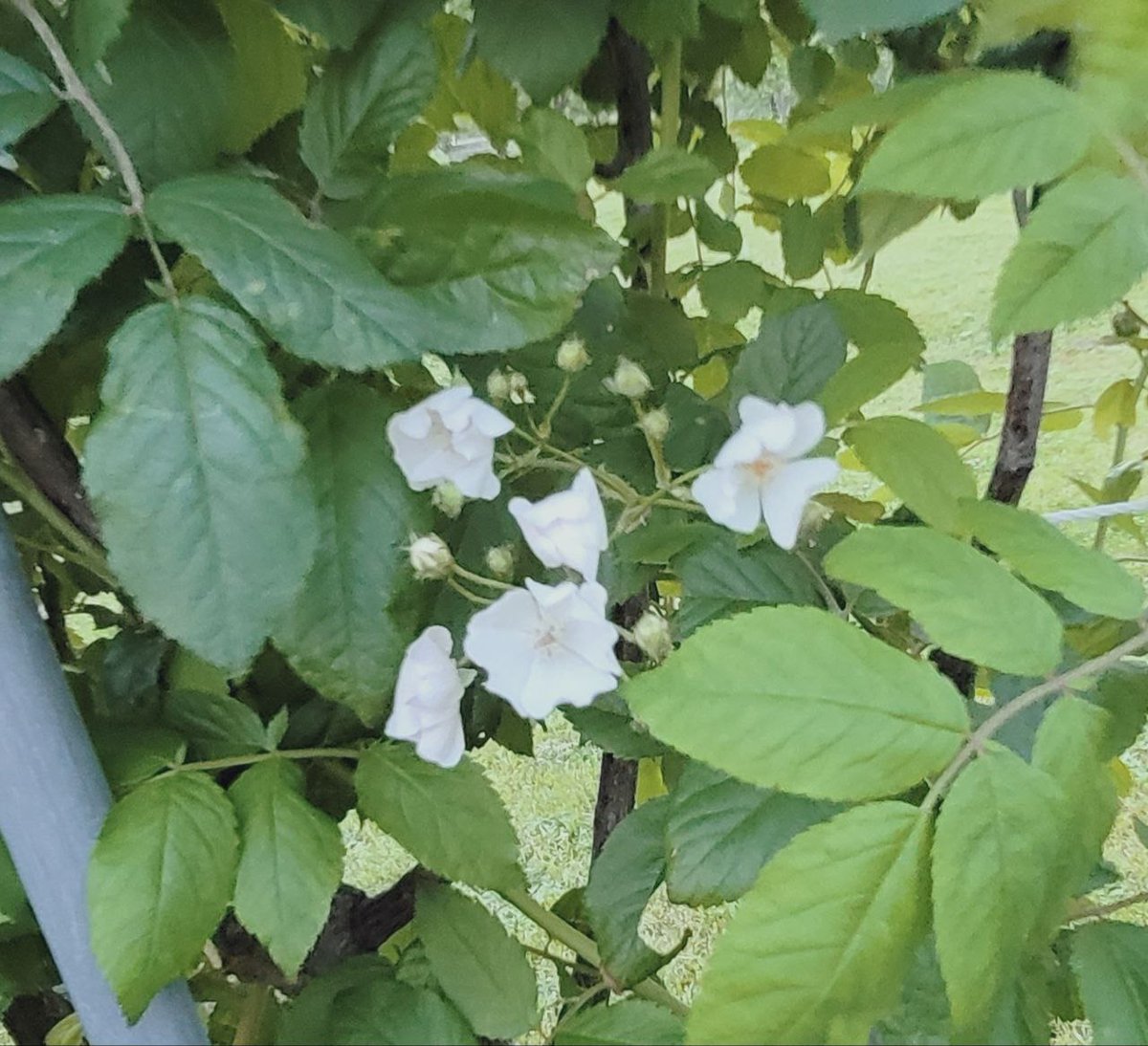 #여름시작 #서울 #자연사랑