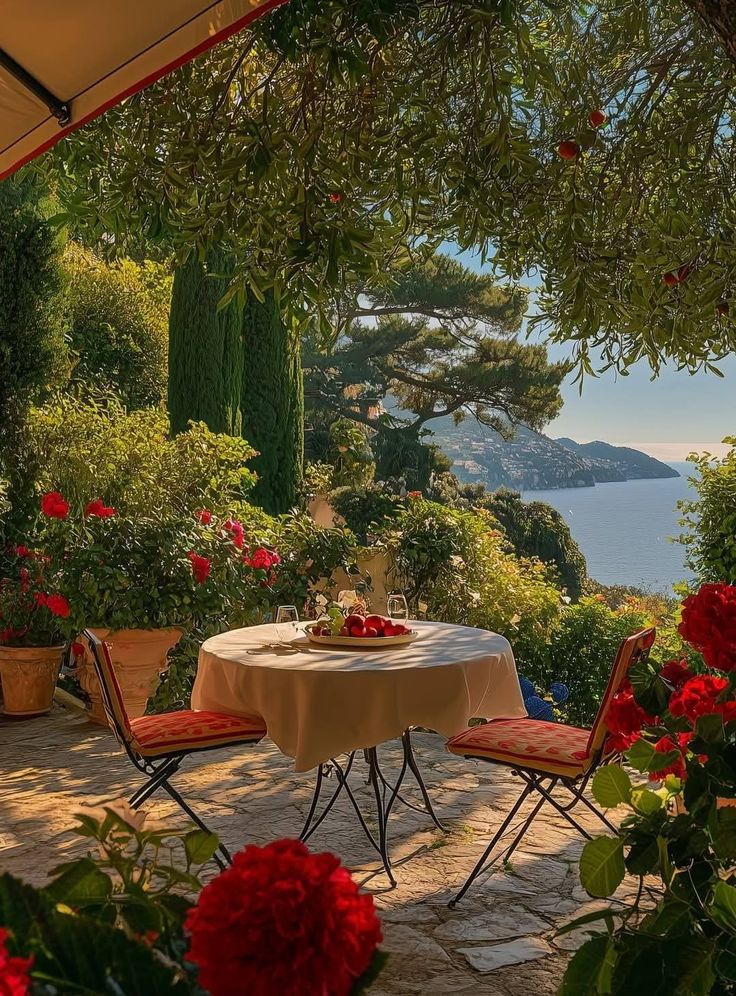 Amazing Nature (@amazingpicshq) on Twitter photo 