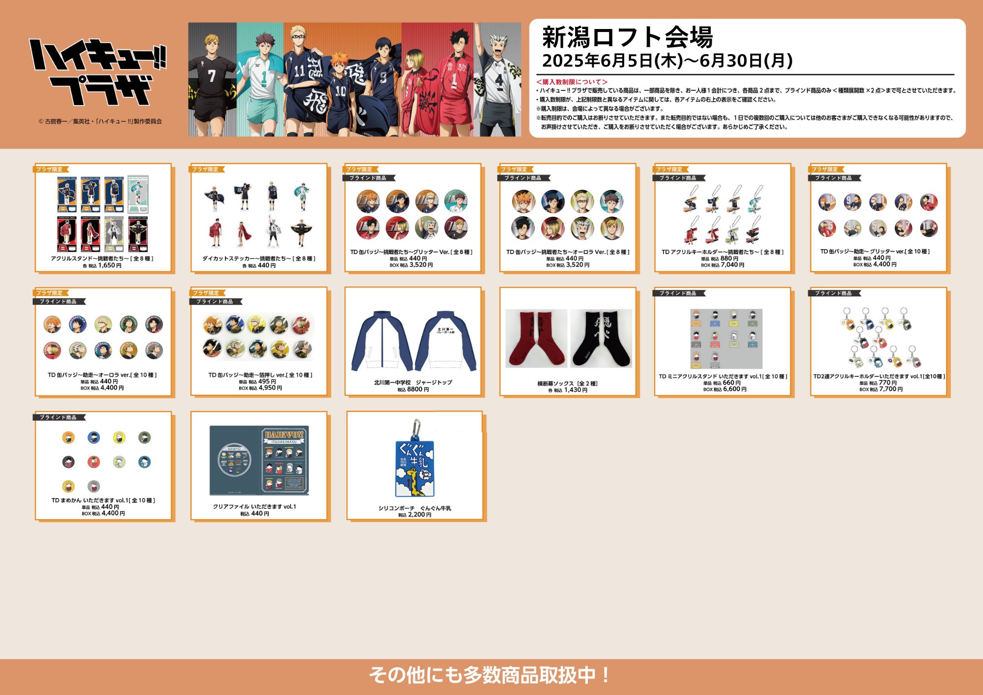 大学 割引 ハイキュー!!プラザ X / (@haikyu_plaza) ぬいぐるみ