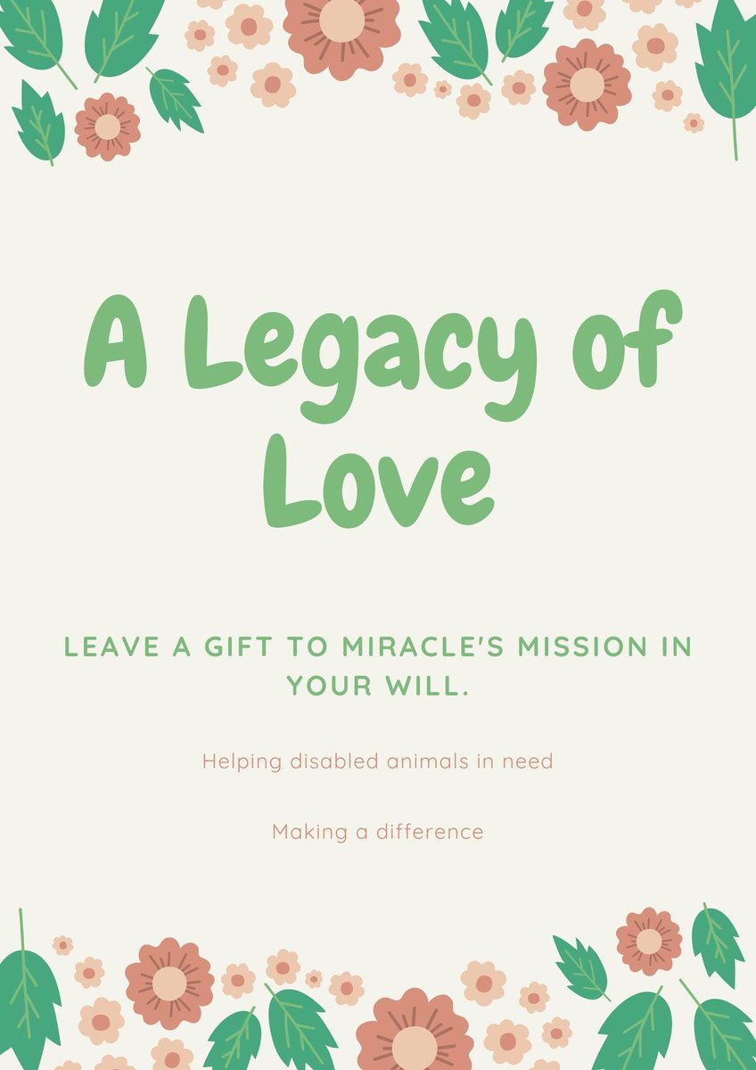 info@miraclesmission.org (@mirimission) on Twitter photo A #Legacy of Love
If you are thinking about making a will, pls consider leaving a legacy of #love to the disabled & street #cats and #dogs at Miracle's Mission.
This will help us to care for even more disabled animals in need.
Contact us at info@miraclesmission.org to chat A #Legacy of Love
If you are thinking about making a will, pls consider leaving a legacy of #love to the disabled & street #cats and #dogs at Miracle's Mission.
This will help us to care for even more disabled animals in need.
Contact us at info@miraclesmission.org to chat