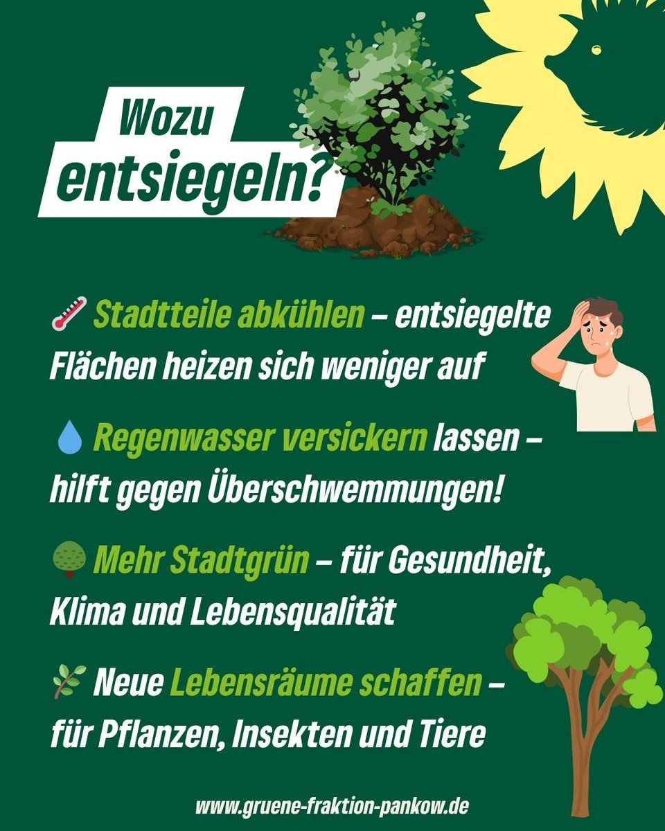 Grüne Fraktion Pankow (@gruenebvvpankow) on Twitter photo Von Grau zu Grün: Versiegelte Flächen heizen unsere Kieze auf - deshalb setzen wir auf Entsiegelung. <a href="/AxelLuessow/">Axel Lüssow</a>: "Jeder entsiegelte und begrünte Quadratmeter hilft gegen Hitze und Überschwemmungen, schützt Klima, Stadtnatur und die Gesundheit von uns Menschen." 💧💚 Von Grau zu Grün: Versiegelte Flächen heizen unsere Kieze auf - deshalb setzen wir auf Entsiegelung. <a href="/AxelLuessow/">Axel Lüssow</a>: "Jeder entsiegelte und begrünte Quadratmeter hilft gegen Hitze und Überschwemmungen, schützt Klima, Stadtnatur und die Gesundheit von uns Menschen." 💧💚
