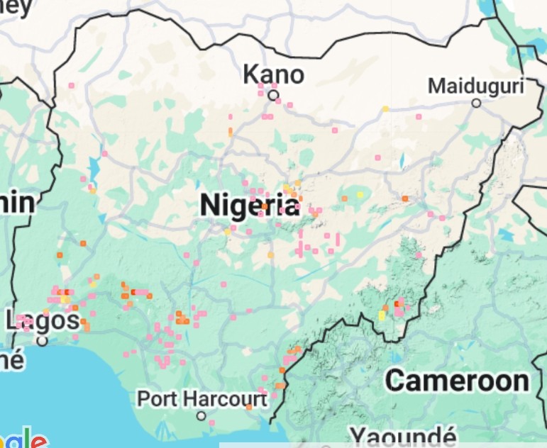 ... while non-breeding populations occur in the northern part of the country.

The Black Cuckoo is mainly an insectivorous species but also eats birds' eggs and nestlings.
The population trend is decreasing.
📷: <a href="/SIR_JOE11/">Joseph Kwasi Afrifa</a> 
<a href="/ncfnigeria/">NCF</a> <a href="/aplori_centre/">A.P. Leventis Ornithological Research Institute</a>